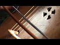 CRWTH : SEDAYNE : HIBERNA DESIDERIUM
