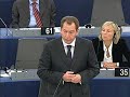 Graham Watson on European Council report