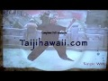 108 Yang Style Taijiquan part 2 of 3