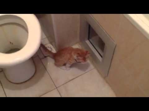 Alger - Voici une vidéo d un hôtel que je ne vous conseille meme pas. C'est l hôtel international de l'aéroport d Alger . C'est une véritable honte et ne vous fiez j...