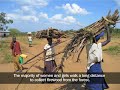 Controlling Environmental Degradation in Uganda