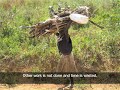 Controlling Environmental Degradation in Uganda