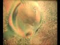 Psychedelic 1930's BING CROSBY video