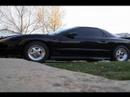 Mr Luos Trans Am