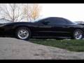 Mr Luos Trans Am