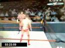 TRIPLE H VS. REAGLE
