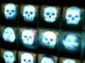 videos de Rostros del museo