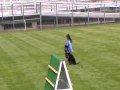 Samantha 2010 WDC Schutzhund-Obedience