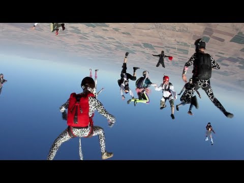 Harlem Shake - Skydive Edition