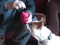 See video