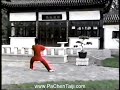 Chen Taijiquan from Chen Village (part 1) Chen Taijiquan from Chen Village (part 1)