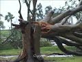 Hurricane Rita - Port Arthur, Texas Hurricane Rita - Port Arthur, Texas