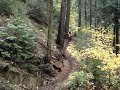 Foresthill Rock Climb Trail 5 - Jennifer