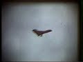 Hang Ten World Open 1976 Hang Gliding Competition Film By Bob Grant Hang Ten World Open 1976 Hang Gliding Competition Film By Bob Grant