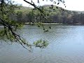 Lake Guntersville Prettiness!