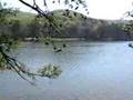 Lake Guntersville Prettiness!