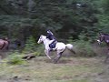 Foxhunting 2008 Foxhunting 2008