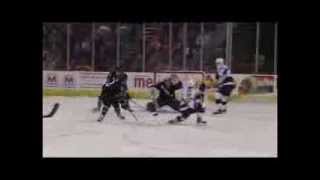Cyclones vs Reading - November 23, 2013