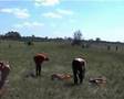 Central Europe Rally 1. Stage Dabas Part 1