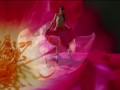 hadas   fairies ask the mountains   la nature enchanteresse