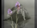 Hadas - Fairies Ask The Mountains - La Nature Enchanteresse
