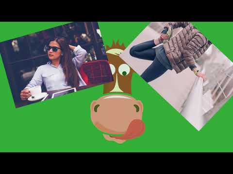 Video - JEEERKS Beef Jerky - Wholesale Snack Foods