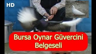 BURSA OYNAR GÜVERCİNİ BELGESELİ  Bursa Oynarı