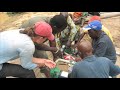 Solar Drip Irrigation Project - Benin, West Africa