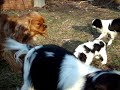 Brynner at 7 weeks