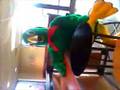 videos de jonny parrot