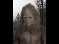 Bigfoot found in georgia- incredible video