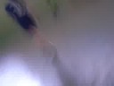 jogo matozinho