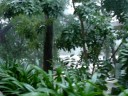 FCC Cambodia in Rainy Days