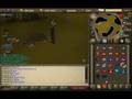 Complete Queen/Giant Mole Guide