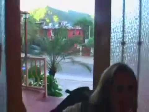 Video of Oasis Downtown Vallarta Hostel