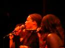 Concert: The Rise ProjectAfrikan Youth In Norway