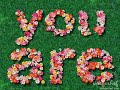 CUPPY CAKE song lyricS