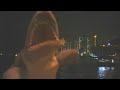[shark] Allister -- shimanchu nu takara