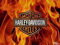 Hello watch Harley-Davidson By Skullman