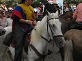 feria de cali