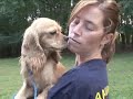 Canada Puppy Mill Dogs Arrive to USA