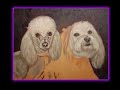 Toy Poodle and Maltese OIL SPEED PAINTING