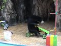 Illegal Animal Trade