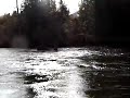more from the atnarko river.