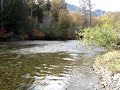 more from the atnarko river.