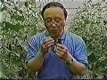Eliminating Agricultural Chemicals