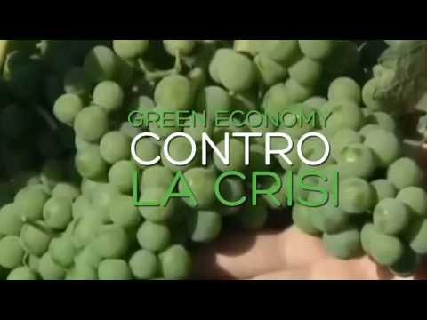 Immagine anteprima YouTube