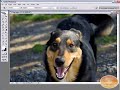 Adobe Bridge Tutorial - Learn the basics of the Bridge! Adobe Bridge Tutorial - Learn the basics of the Bridge!