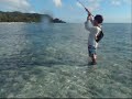 Blue Trevally On Fly La Digue Seychelles
