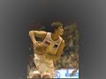 il canto del gallo   danilo gallinari videotribute